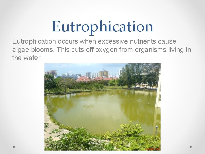 Eutrophication occurs when excessive nutrients cause algae blooms. This cuts off oxygen from organisms