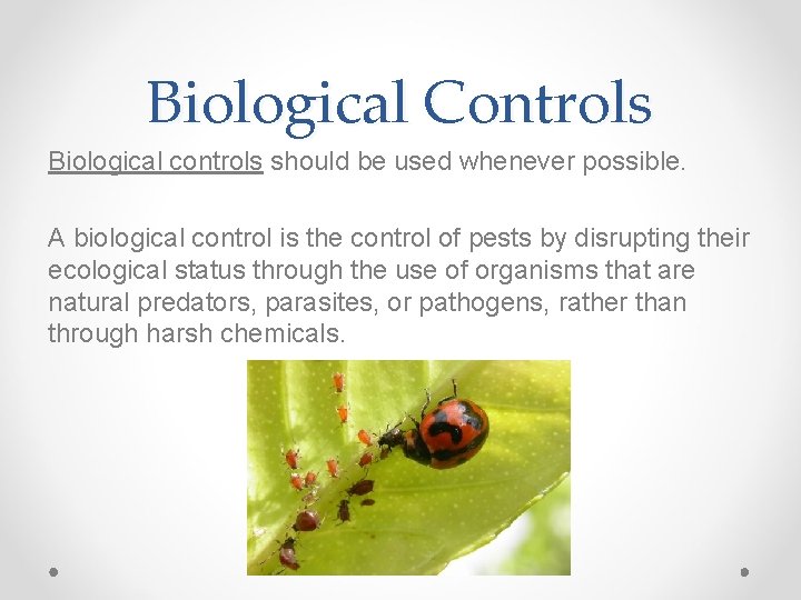 Biological Controls Biological controls should be used whenever possible. A biological control is the