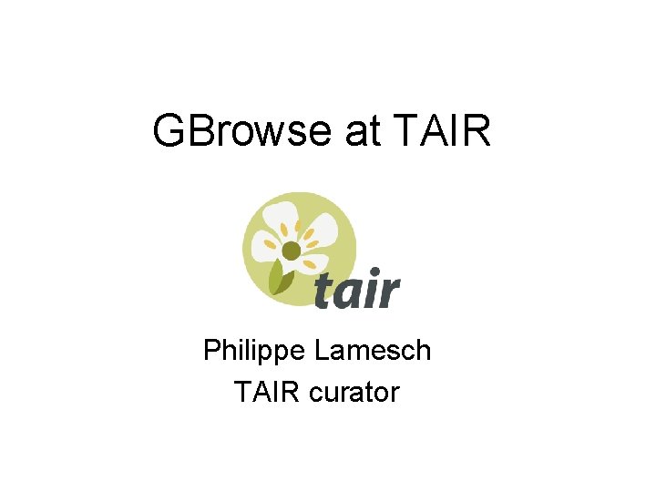 GBrowse at TAIR Philippe Lamesch TAIR curator 