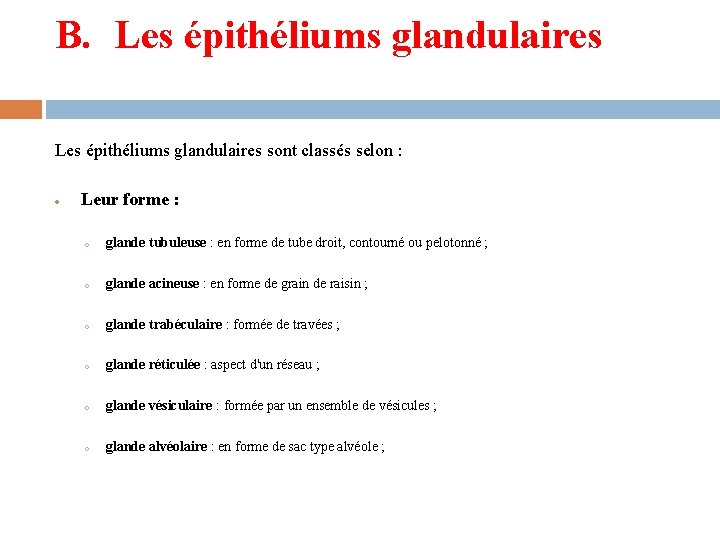 B. Les épithéliums glandulaires sont classés selon : Leur forme : o glande tubuleuse