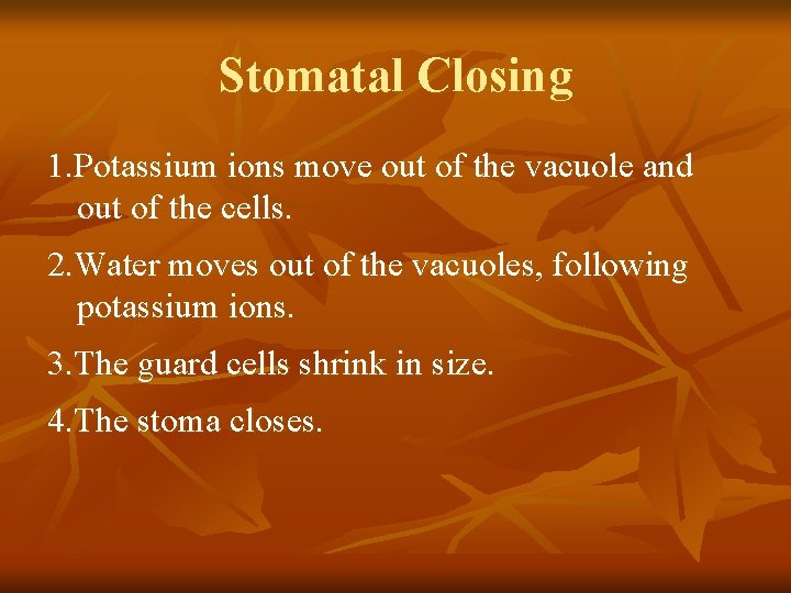 Stomatal Closing 1. Potassium ions move out of the vacuole and out of the