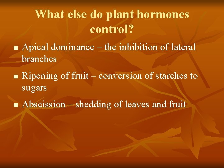 What else do plant hormones control? n n n Apical dominance – the inhibition