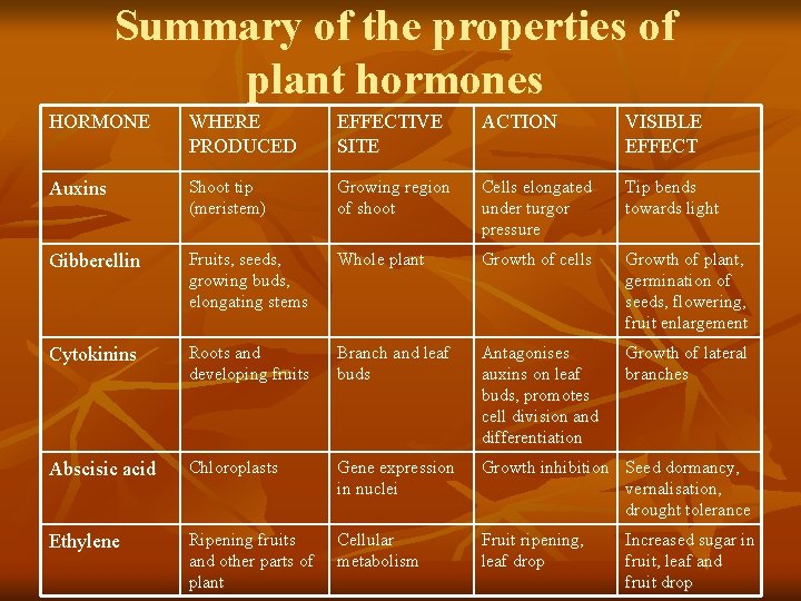 Summary of the properties of plant hormones HORMONE WHERE PRODUCED EFFECTIVE SITE ACTION VISIBLE