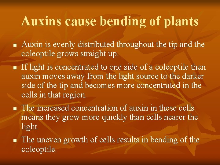 Auxins cause bending of plants n n Auxin is evenly distributed throughout the tip