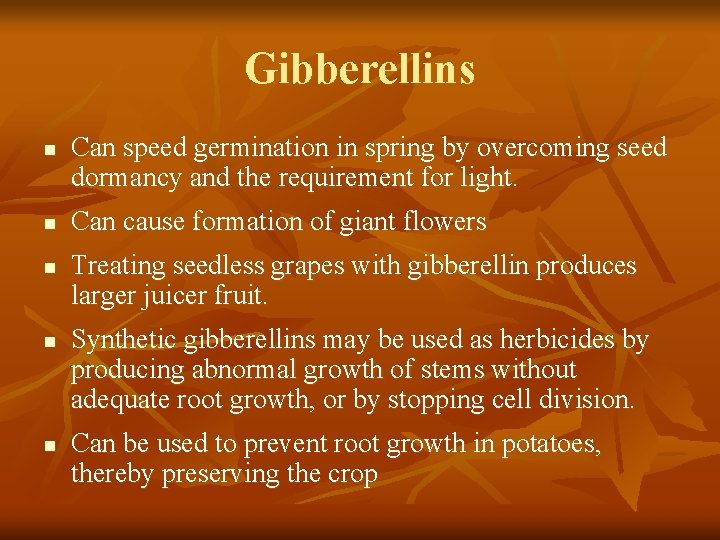 Gibberellins n n n Can speed germination in spring by overcoming seed dormancy and