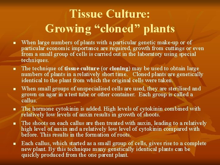 Tissue Culture: Growing “cloned” plants n n n When large numbers of plants with