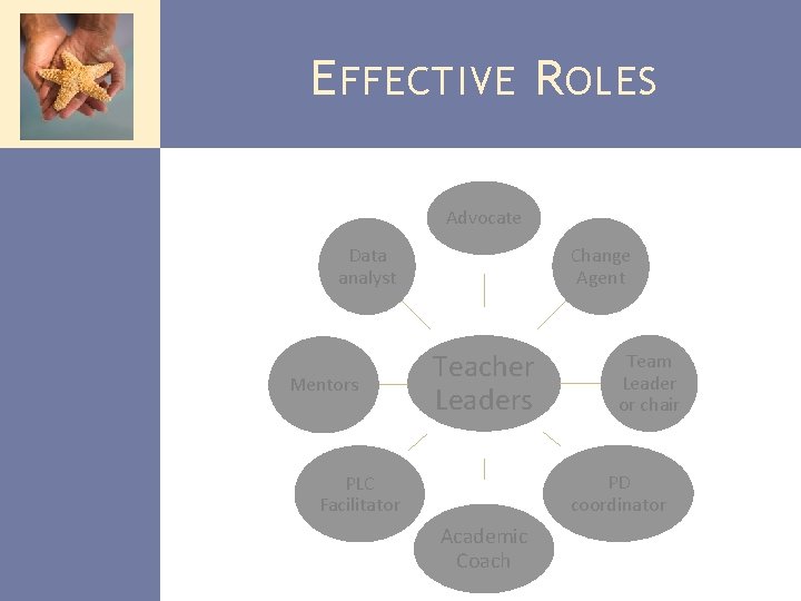 E FFECTIVE R OLES Advocate Data analyst Mentors Change Agent Teacher Leaders Team Leader