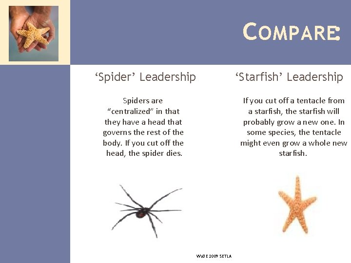 C OMPARE: ‘Spider’ Leadership ‘Starfish’ Leadership Spiders are “centralized” in that they have a