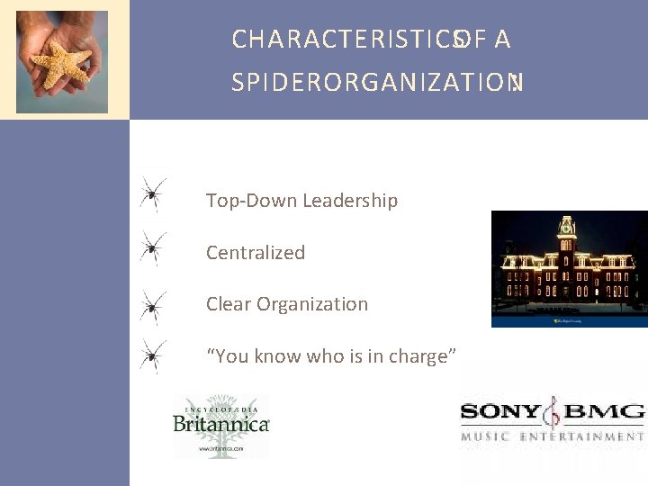 CHARACTERISTICSOF A SPIDER ORGANIZATION : Top-Down Leadership Centralized Clear Organization “You know who is