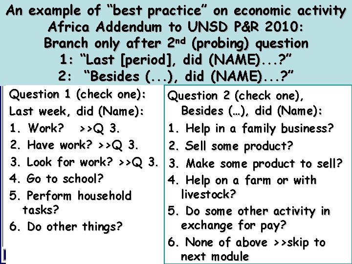 An example of “best practice” on economic activity Africa Addendum to UNSD P&R 2010: