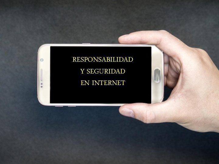 RESPONSABILIDAD Y SEGURIDAD EN INTERNET 