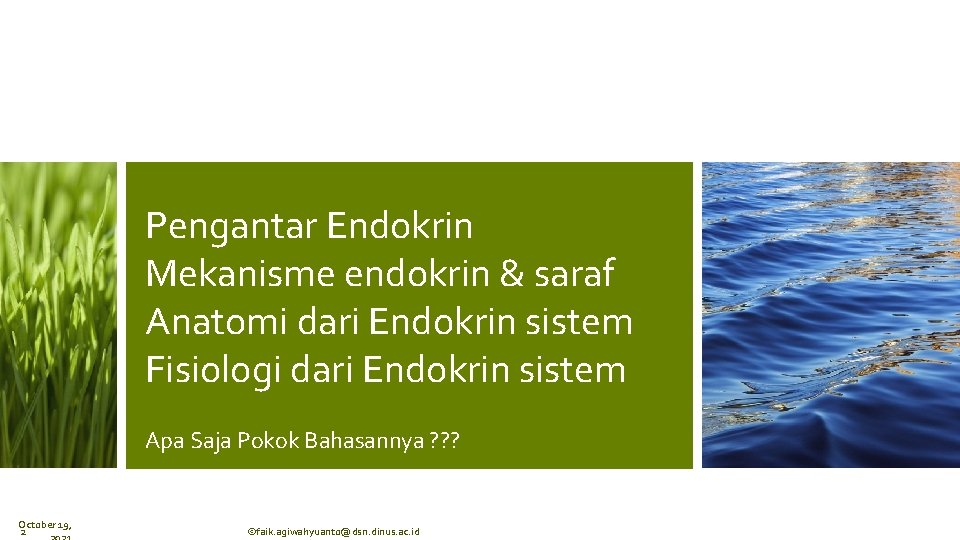 Pengantar Endokrin Mekanisme endokrin & saraf Anatomi dari Endokrin sistem Fisiologi dari Endokrin sistem