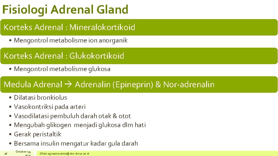 Fisiologi Adrenal Gland Korteks Adrenal : Mineralokortikoid • Mengontrol metabolisme ion anorganik Korteks Adrenal