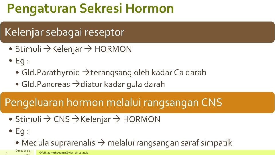 Pengaturan Sekresi Hormon Kelenjar sebagai reseptor • Stimuli Kelenjar HORMON • Eg : •