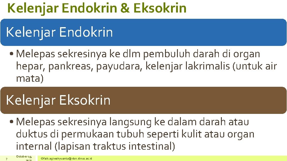 Kelenjar Endokrin & Eksokrin Kelenjar Endokrin • Melepas sekresinya ke dlm pembuluh darah di