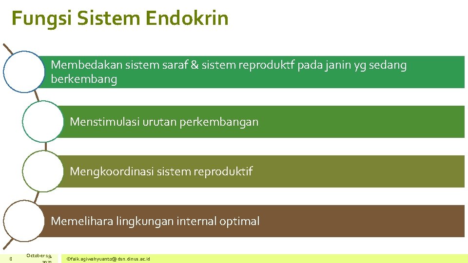 Fungsi Sistem Endokrin Membedakan sistem saraf & sistem reproduktf pada janin yg sedang berkembang