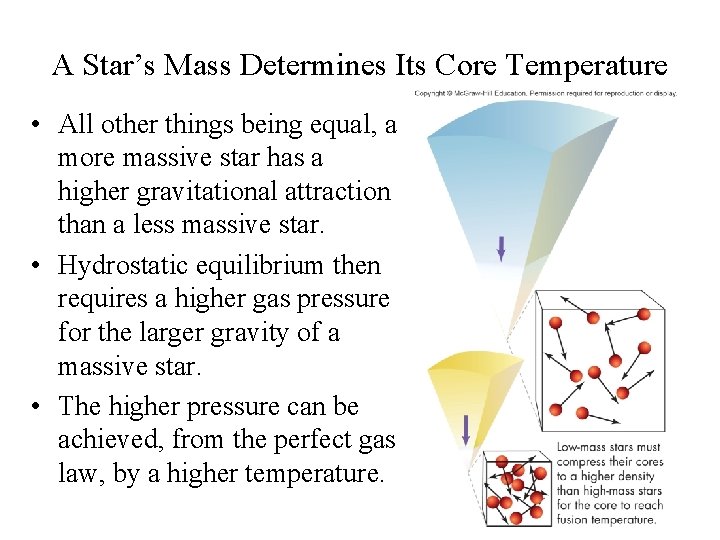 A Star’s Mass Determines Its Core Temperature • All other things being equal, a