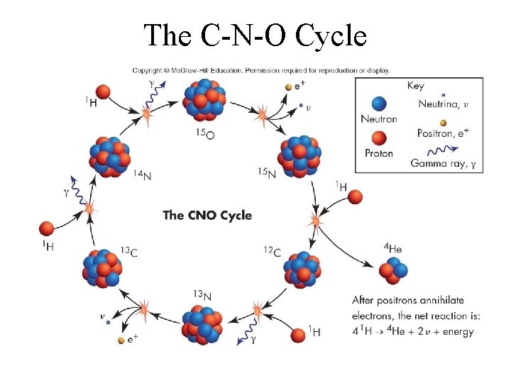 The C-N-O Cycle 