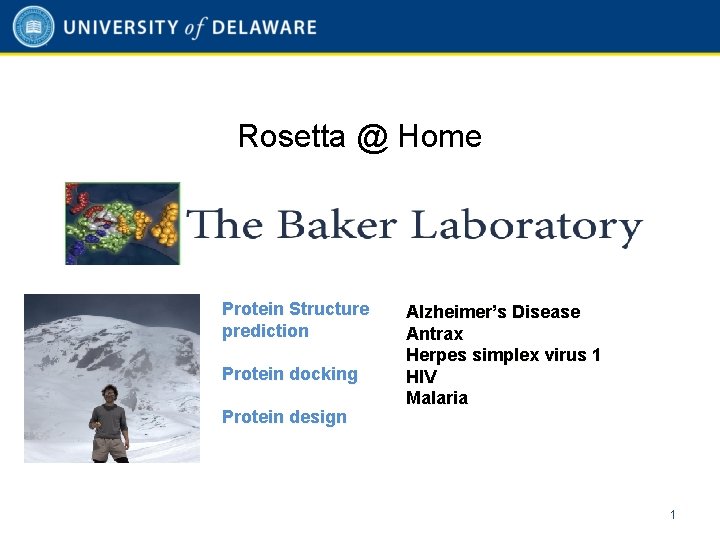 Rosetta @ Home Protein Structure prediction Protein docking Protein design Alzheimer’s Disease Antrax Herpes