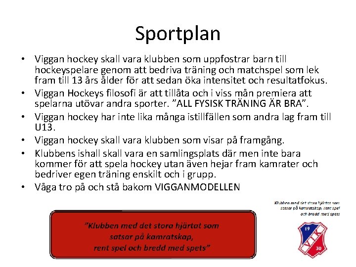 Sportplan • Viggan hockey skall vara klubben som uppfostrar barn till hockeyspelare genom att