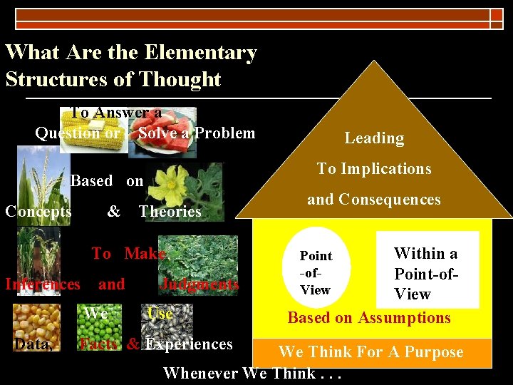 What Are the Elementary Structures of Thought To Answer a Question or Solve a