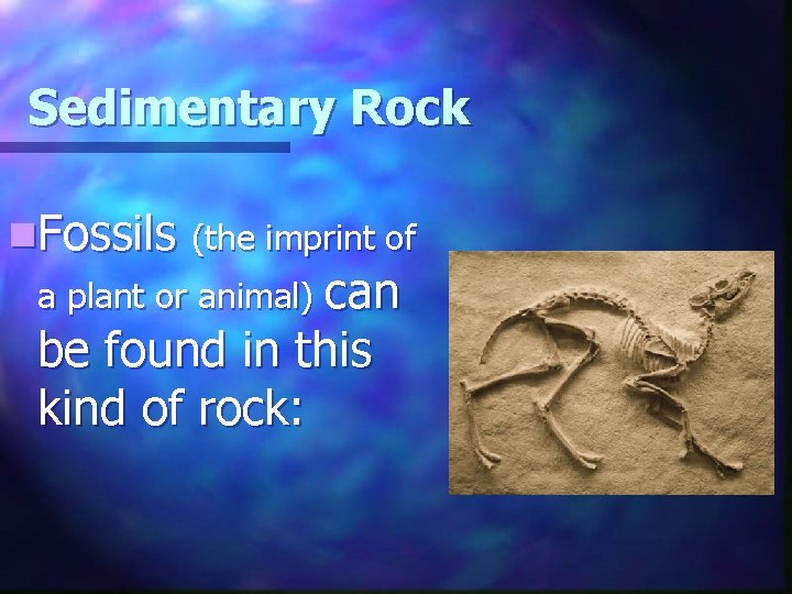 Sedimentary Rock n. Fossils (the imprint of a plant or animal) can be found