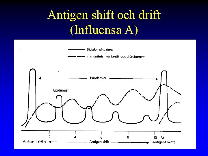 Antigen shift och drift (Influensa A) 