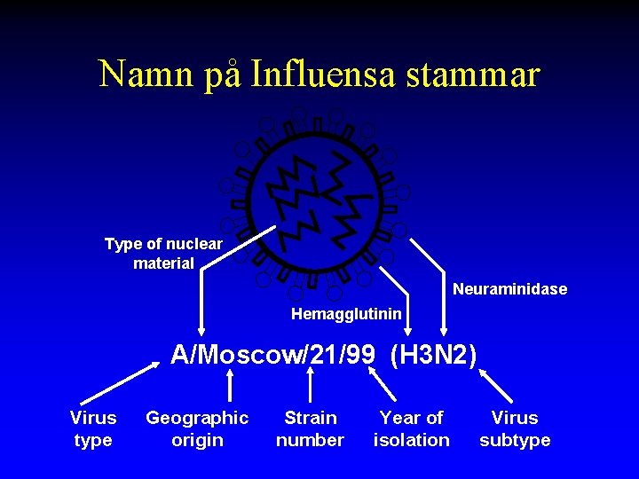 Namn på Influensa stammar Type of nuclear material Neuraminidase Hemagglutinin A/Moscow/21/99 (H 3 N