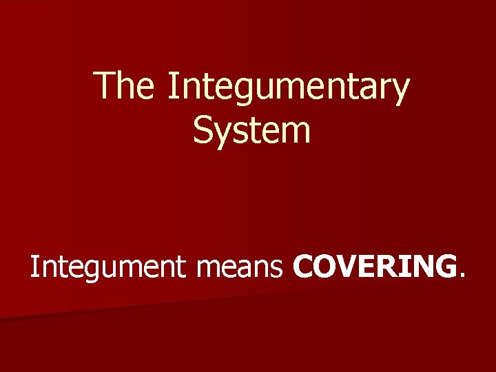 The Integumentary System Integument means COVERING. 