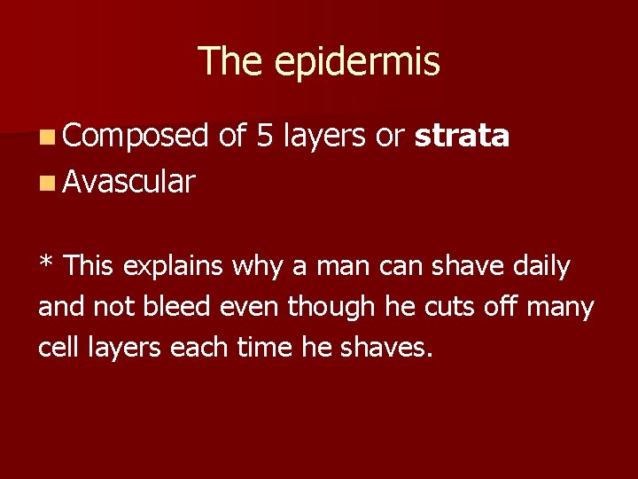 The epidermis n Composed of 5 layers or strata n Avascular * This explains