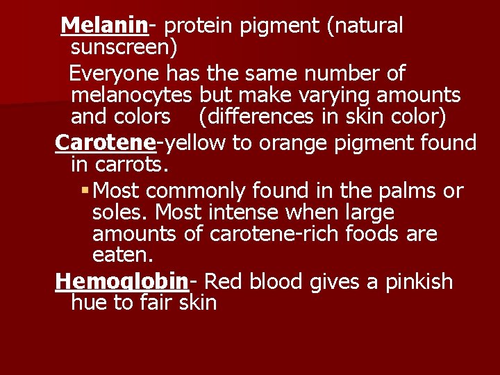 Melanin- protein pigment (natural sunscreen) Everyone has the same number of melanocytes but make