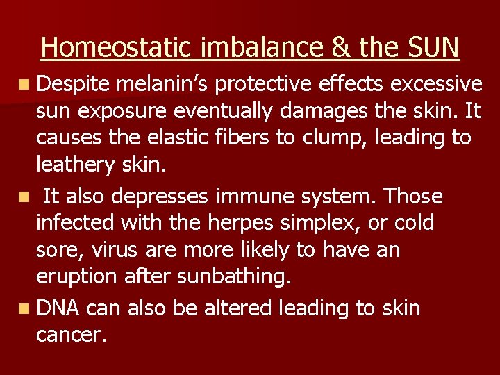 Homeostatic imbalance & the SUN n Despite melanin’s protective effects excessive sun exposure eventually