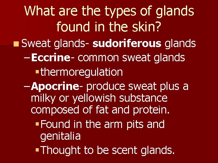 What are the types of glands found in the skin? n Sweat glands- sudoriferous