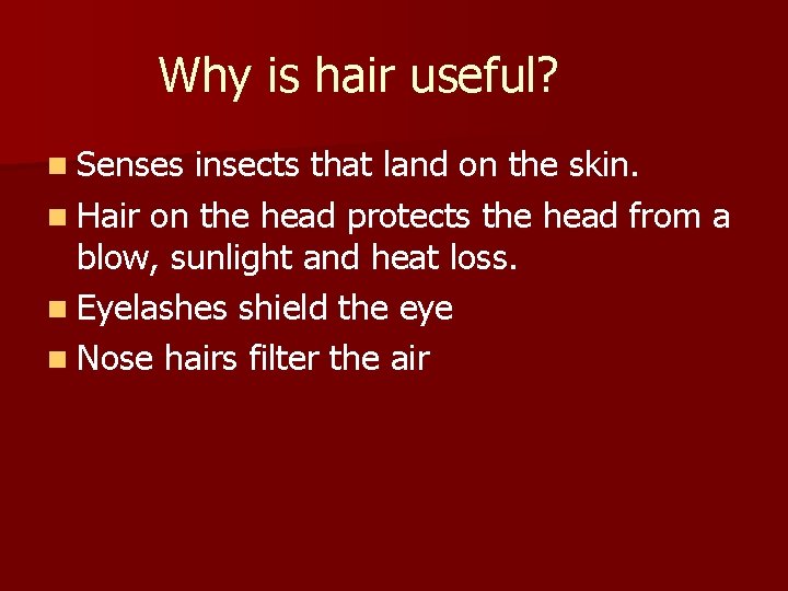 Why is hair useful? n Senses insects that land on the skin. n Hair