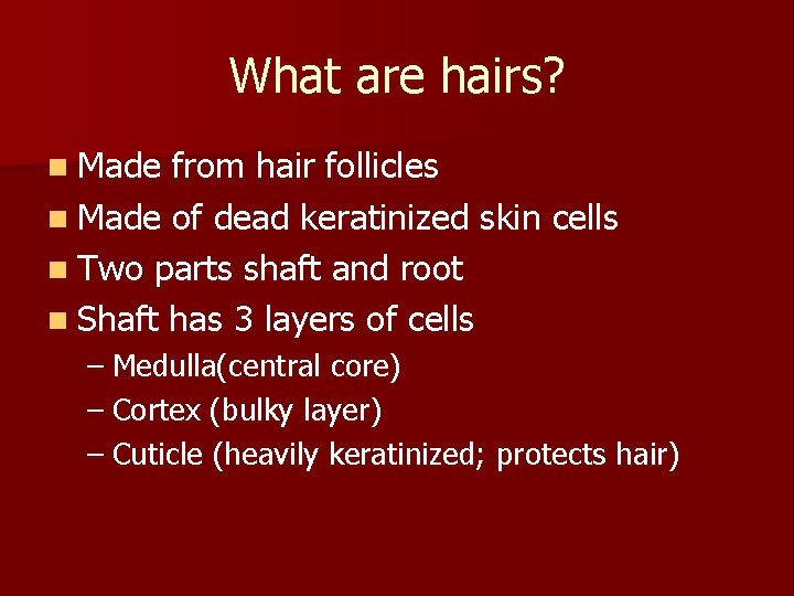 What are hairs? n Made from hair follicles n Made of dead keratinized skin