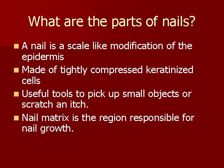 What are the parts of nails? n. A nail is a scale like modification