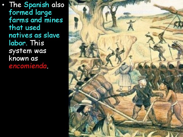  • The Spanish also formed large farms and mines that used natives as