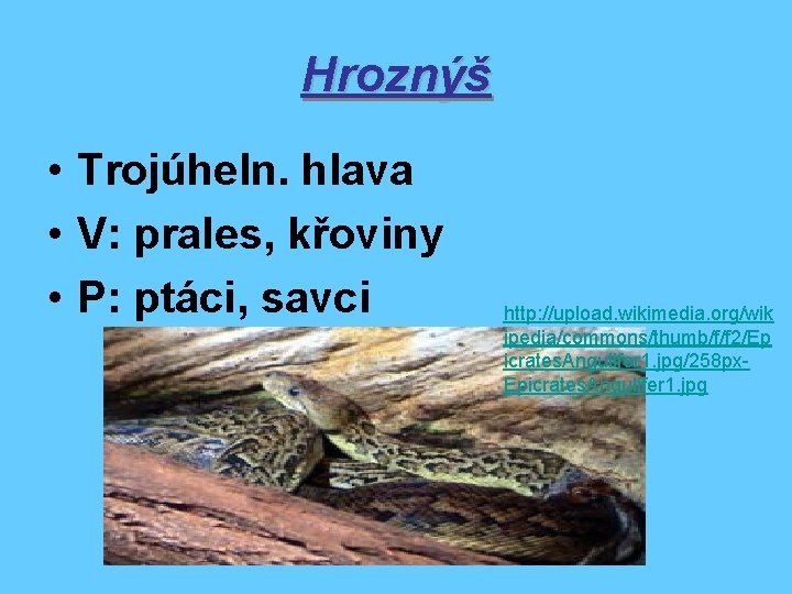 Hroznýš • Trojúheln. hlava • V: prales, křoviny • P: ptáci, savci http: //upload.