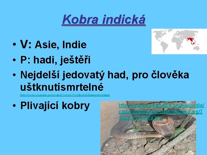 Kobra indická • V: Asie, Indie • P: hadi, ještěři • Nejdelší jedovatý had,