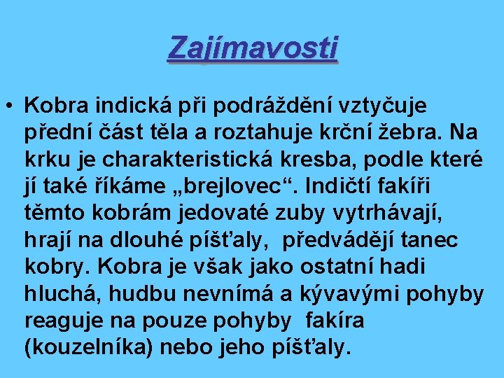 Zajímavosti • Kobra indická při podráždění vztyčuje přední část těla a roztahuje krční žebra.