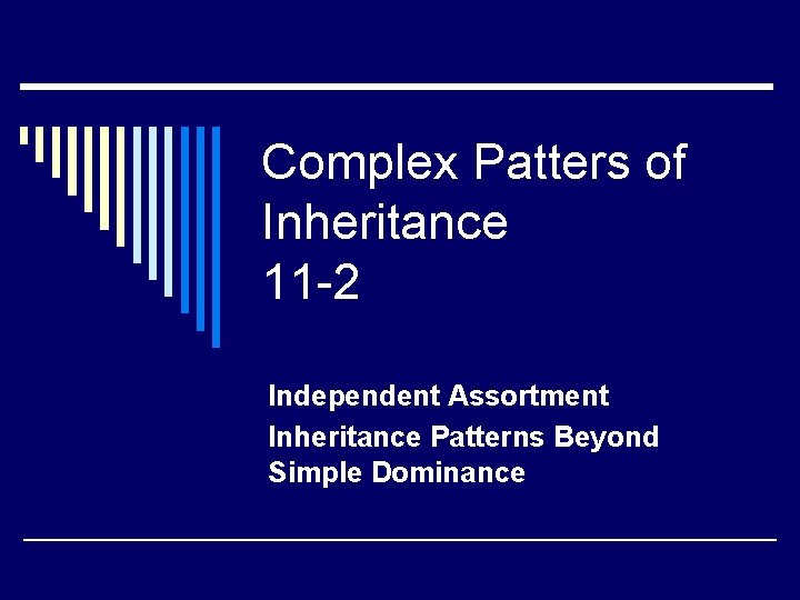 Complex Patters of Inheritance 11 -2 Independent Assortment Inheritance Patterns Beyond Simple Dominance Complex Patters of Inheritance 11 -2 Independent Assortment Inheritance Patterns Beyond Simple Dominance
