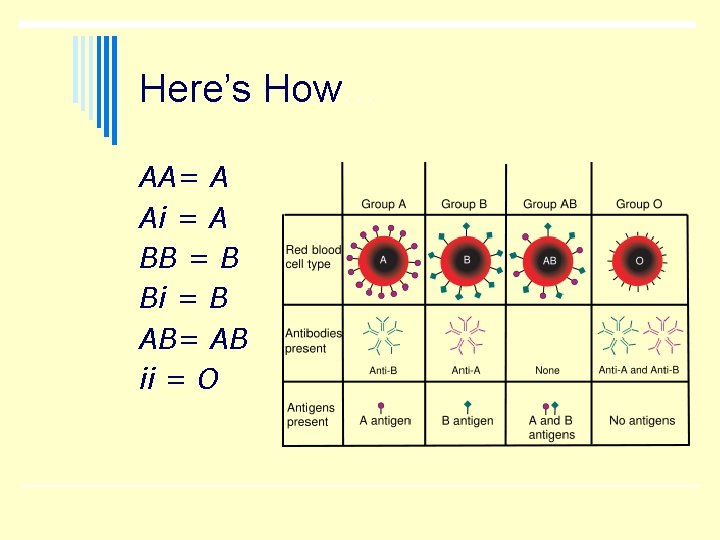 Here’s How… AA= A Ai = A BB = B Bi = B AB= Here’s How… AA= A Ai = A BB = B Bi = B AB=