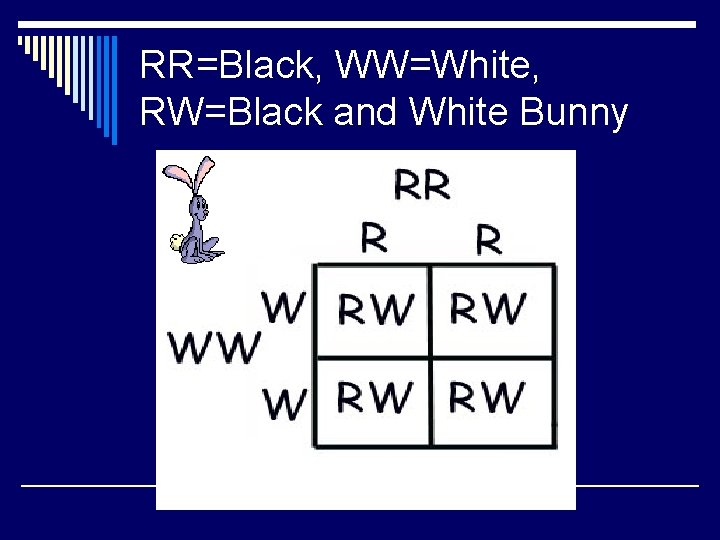 RR=Black, WW=White, RW=Black and White Bunny RR=Black, WW=White, RW=Black and White Bunny