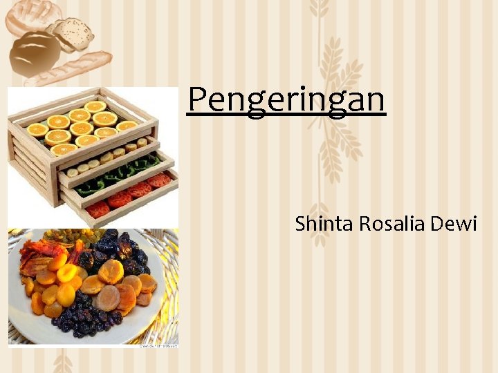 Pengeringan Shinta Rosalia Dewi 