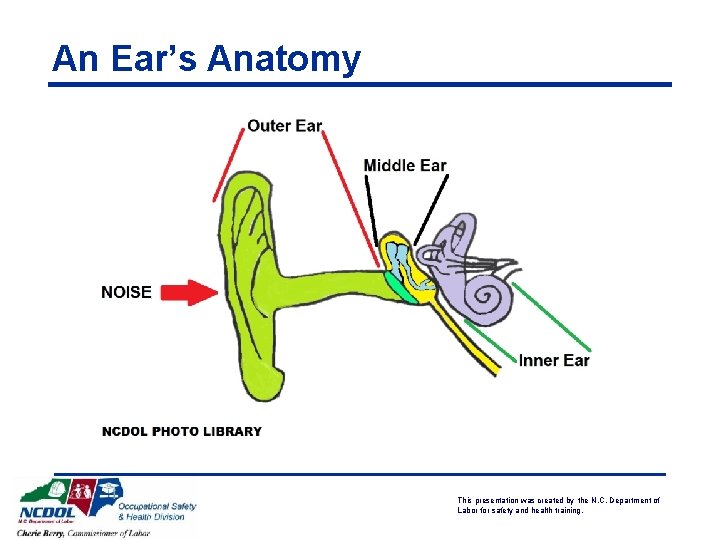 An Ear’s Anatomy This presentation was created by the N. C. Department of Labor An Ear’s Anatomy This presentation was created by the N. C. Department of Labor