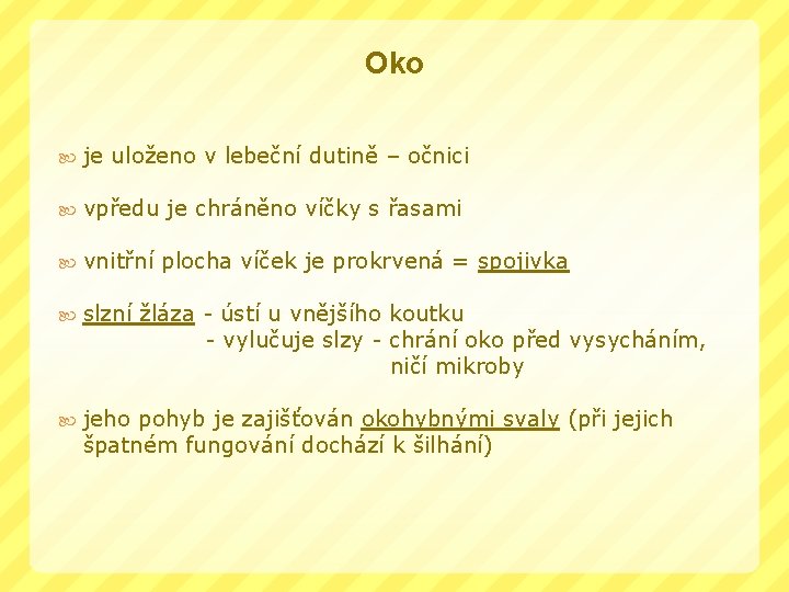 Oko je uloženo v lebeční dutině – očnici vpředu je chráněno víčky s řasami