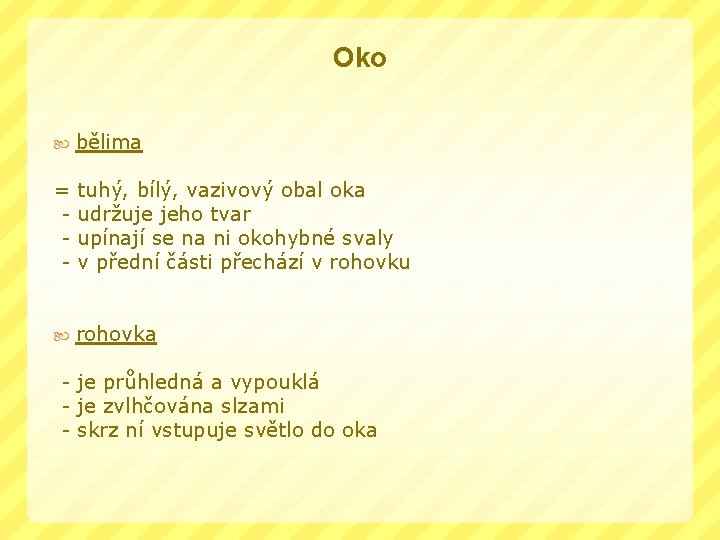 Oko bělima = - tuhý, bílý, vazivový obal oka udržuje jeho tvar upínají se