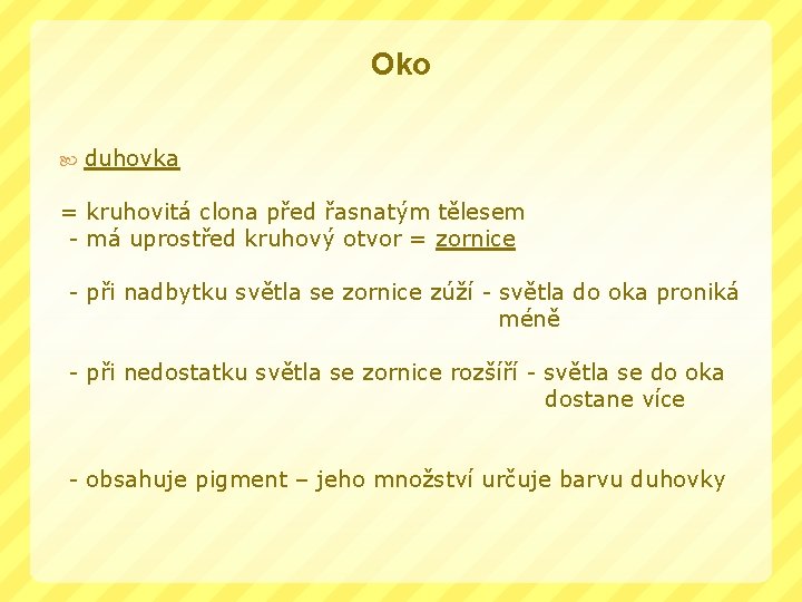 Oko duhovka = kruhovitá clona před řasnatým tělesem - má uprostřed kruhový otvor =