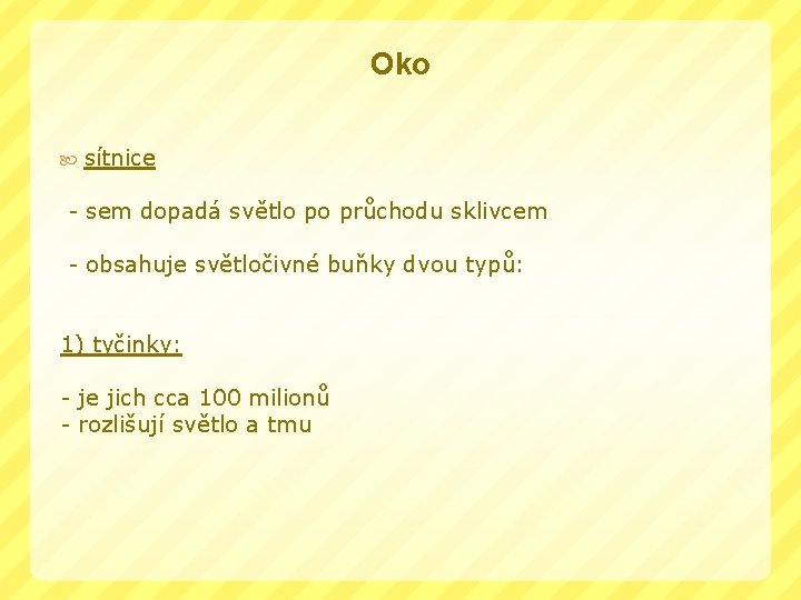 Oko sítnice - sem dopadá světlo po průchodu sklivcem - obsahuje světločivné buňky dvou