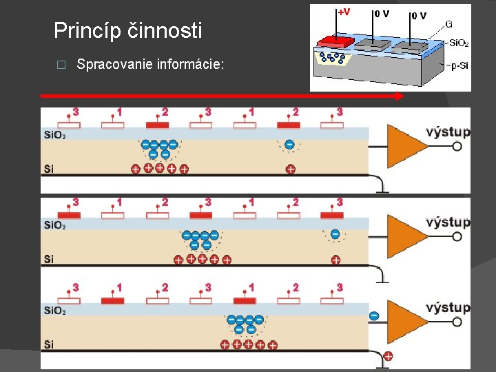 Princíp činnosti � Spracovanie informácie: 